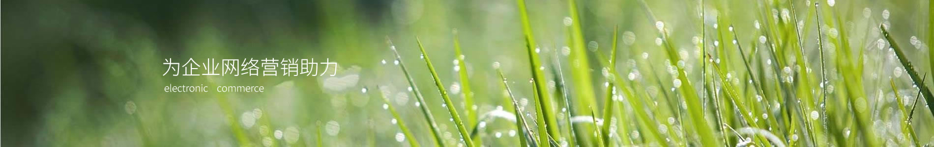 ݺụƼ޹˾